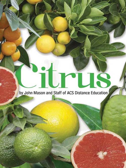 Title details for Citrus by John Mason - Available